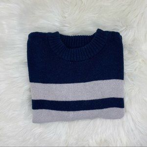 American Eagle Navy Blue and Gray Striped Sweater